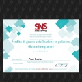 Ingrandire l'immagine: certificate 13