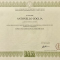 Ingrandire l'immagine: certificate 3
