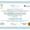 Ingrandire l'immagine: certificate 5