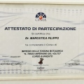 Ingrandire l'immagine: certificate 13
