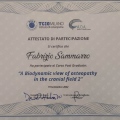 Ingrandire l'immagine: certificate 4
