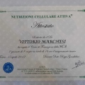 Ingrandire l'immagine: certificate 1