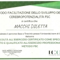 Ingrandire l'immagine: certificate 1