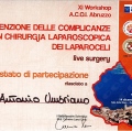 Ingrandire l'immagine: certificate 9