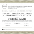Ingrandire l'immagine: certificate 4