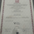 Ingrandire l'immagine: certificate 1