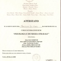 Ingrandire l'immagine: certificate 36