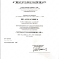 Ingrandire l'immagine: certificate 3