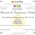 Ingrandire l'immagine: certificate 2