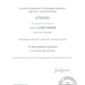 Ingrandire l'immagine: certificate 9