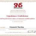 Ingrandire l'immagine: certificate 9