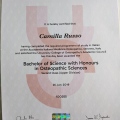 Ingrandire l'immagine: certificate 1