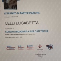 Ingrandire l'immagine: certificate 1