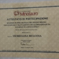 Ingrandire l'immagine: certificate 3