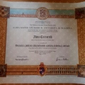 Ingrandire l'immagine: certificate 1
