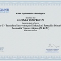 Ingrandire l'immagine: certificate 9
