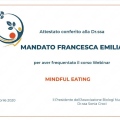 Ingrandire l'immagine: certificate 20