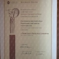 Ingrandire l'immagine: certificate 1