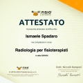 Ingrandire l'immagine: certificate 55