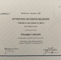 Ingrandire l'immagine: certificate 9