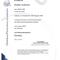 Ingrandire l'immagine: certificate 6