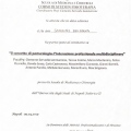 Ingrandire l'immagine: certificate 20