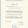 Ingrandire l'immagine: certificate 21
