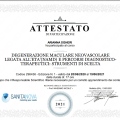 Ingrandire l'immagine: certificate 6