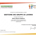 Ingrandire l'immagine: certificate 3