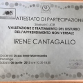 Ingrandire l'immagine: certificate 7