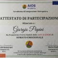 Ingrandire l'immagine: certificate 4