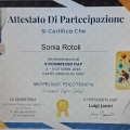 Ingrandire l'immagine: certificate 2