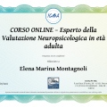 Ingrandire l'immagine: certificate 4