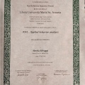 Ingrandire l'immagine: certificate 2