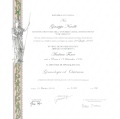 Ingrandire l'immagine: certificate 1