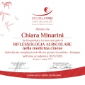 Ingrandire l'immagine: certificate 3