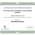 Ingrandire l'immagine: certificate 8