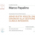 Ingrandire l'immagine: certificate 1
