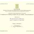 Ingrandire l'immagine: certificate 7