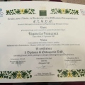 Ingrandire l'immagine: certificate 2