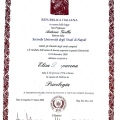 Ingrandire l'immagine: certificate 7
