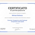 Ingrandire l'immagine: certificate 11