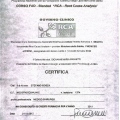 Ingrandire l'immagine: certificate 5
