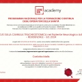 Ingrandire l'immagine: certificate 1