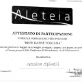 Ingrandire l'immagine: certificate 6