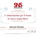 Ingrandire l'immagine: certificate 11