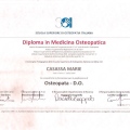 Ingrandire l'immagine: certificate 2