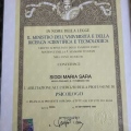 Ingrandire l'immagine: certificate 1