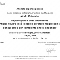 Ingrandire l'immagine: certificate 2