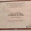 Ingrandire l'immagine: certificate 2